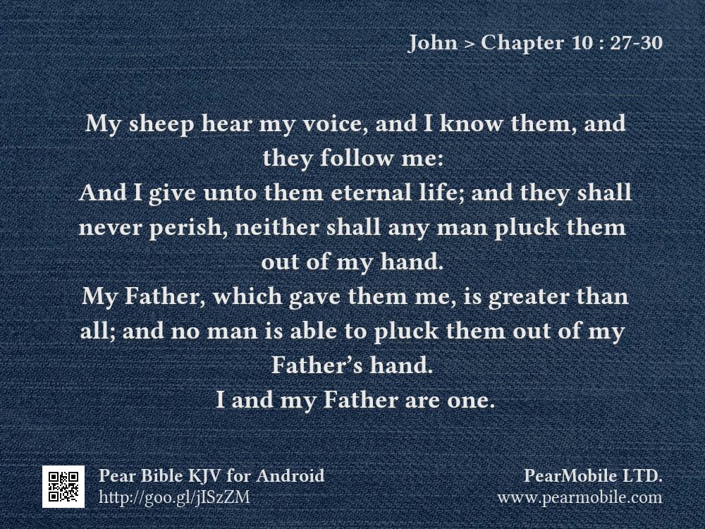John, Chapter 10:27-30